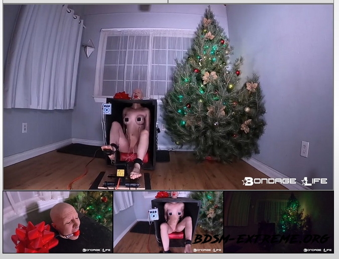 The Slave Generator (Christmas Edition) With Rachel Greyhound (2020/HD) [BondageLife]